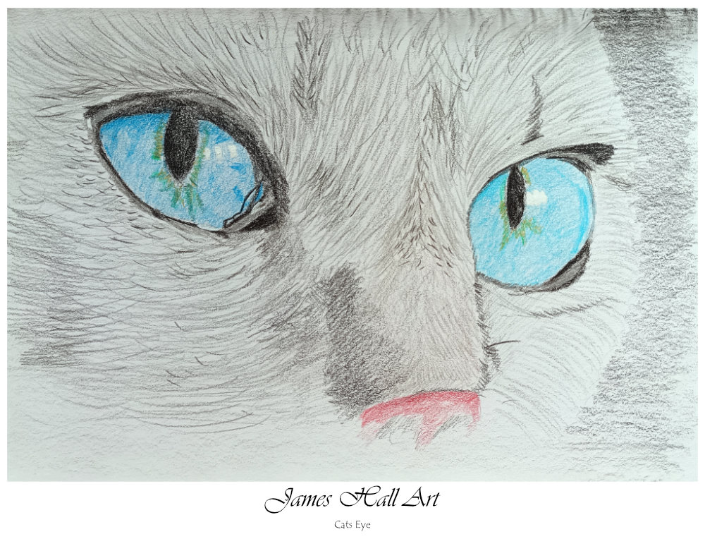 Cats Eye – Shuttle Art Coloured&nbsp;Pencils
