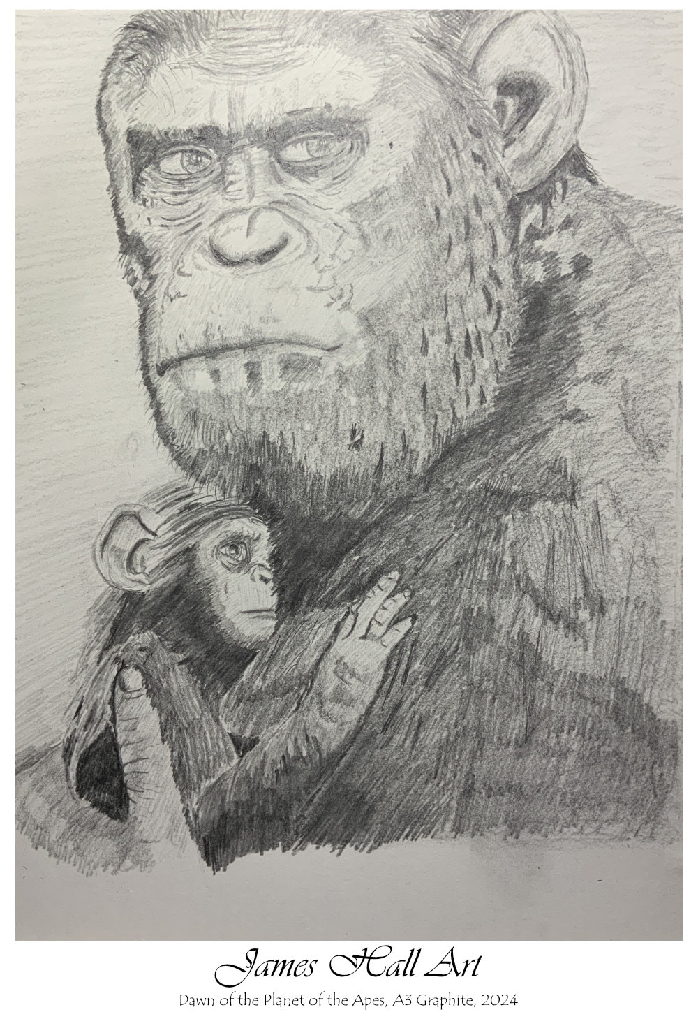 Dawn of the Planet of the Apes 2024 A3&nbsp;Graphite