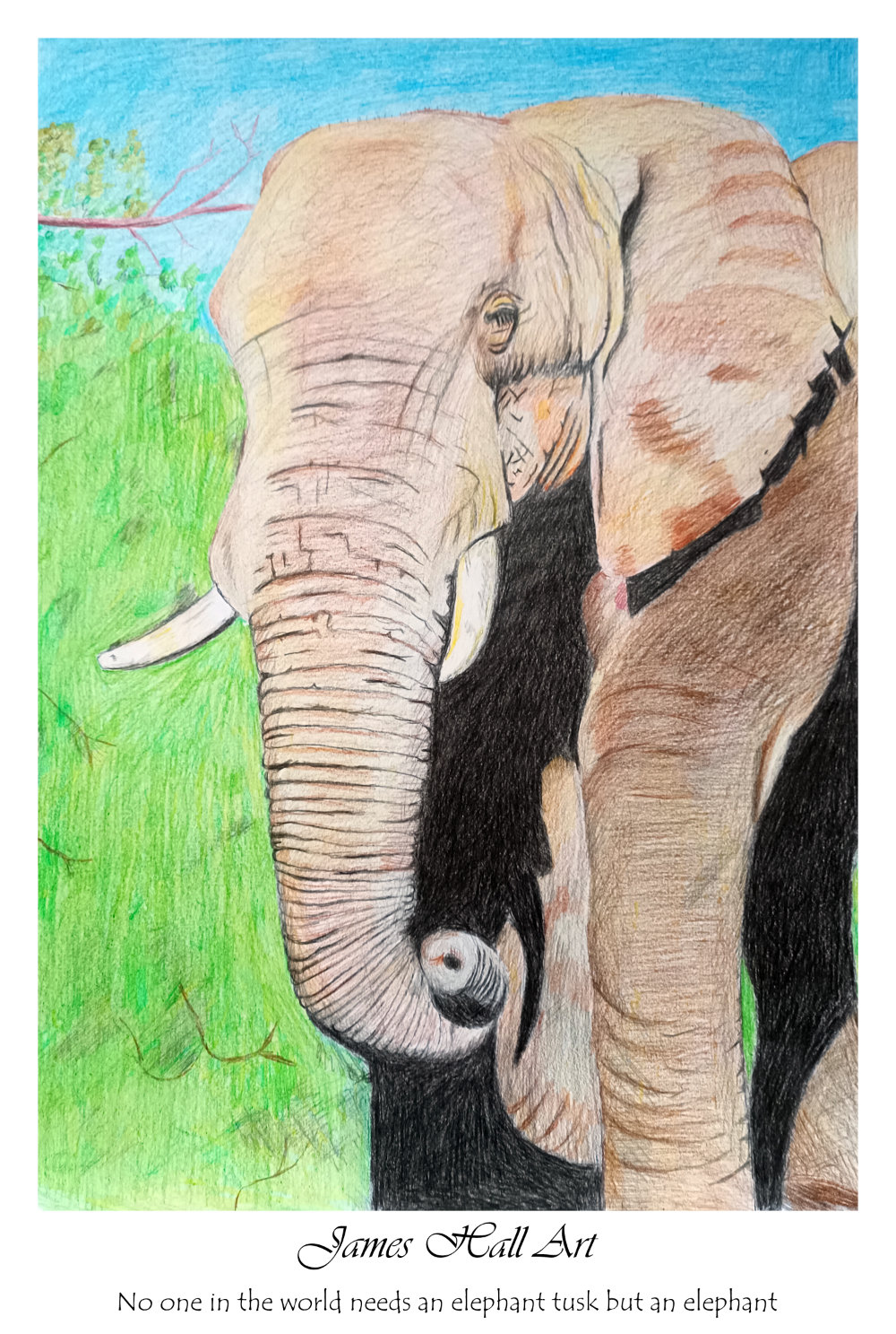 The Great Elephant in Coloured Pencils,&nbsp;A3