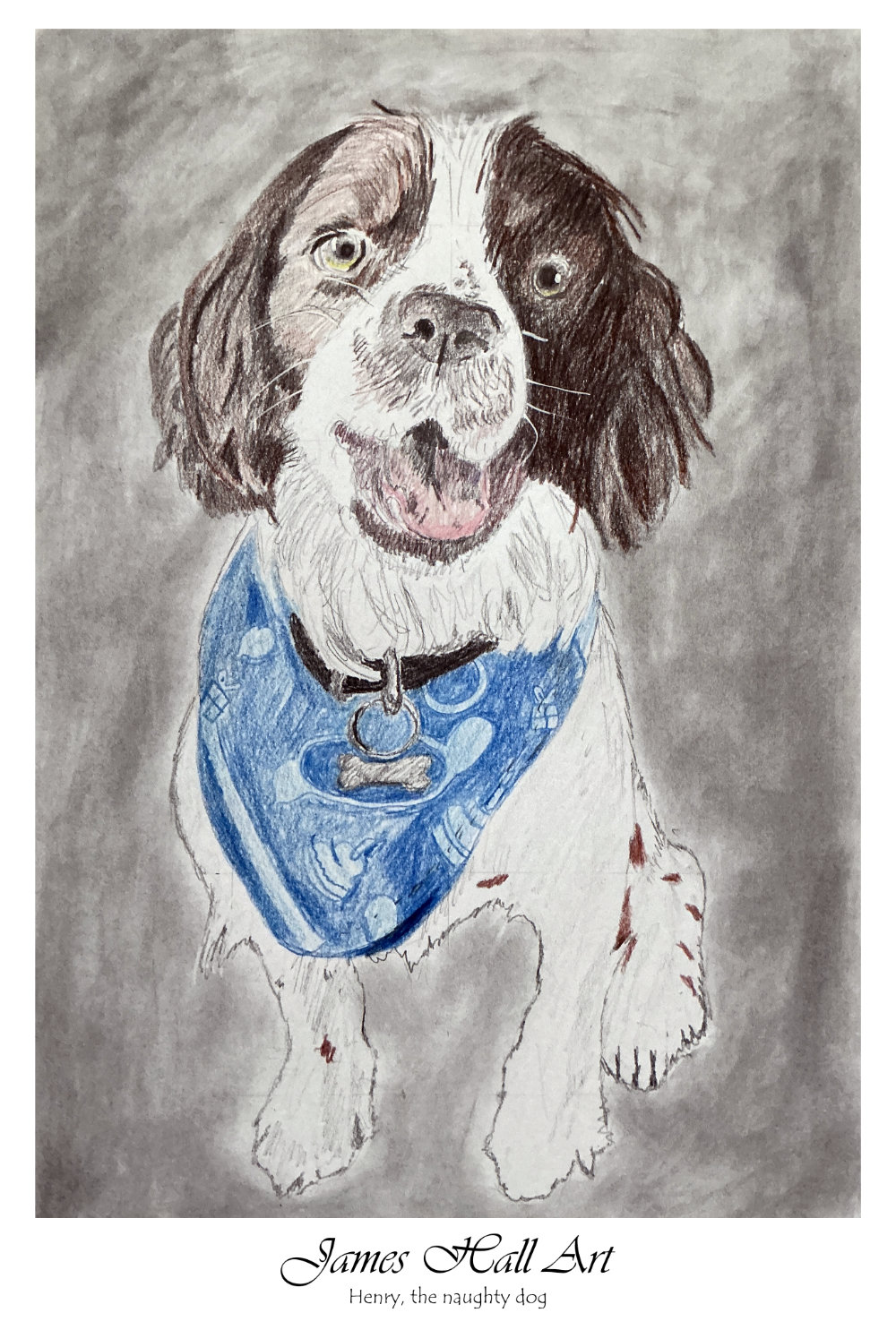 Henry, a friends dog, A4 in&nbsp;Pencil