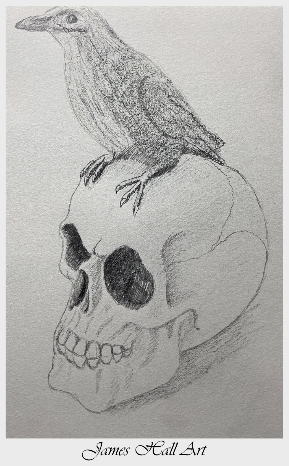 Skull and Raven&nbsp;2