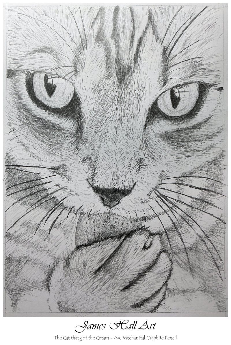 The Cat that got the&nbsp;Cream