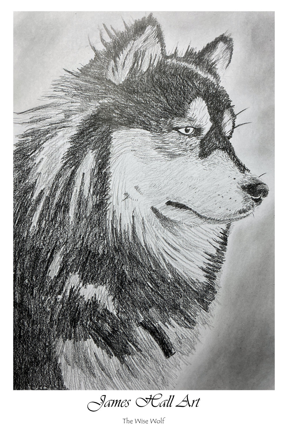 Wolf, A4 in Matt Black&nbsp;Pencil