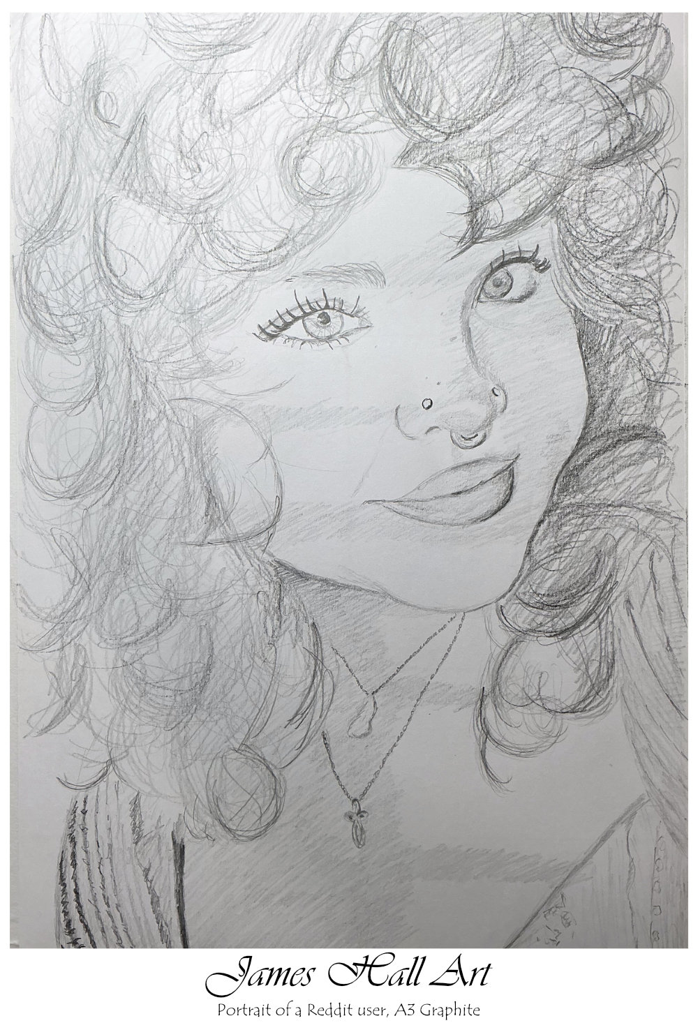 A portrait of a Reddit&nbsp;user