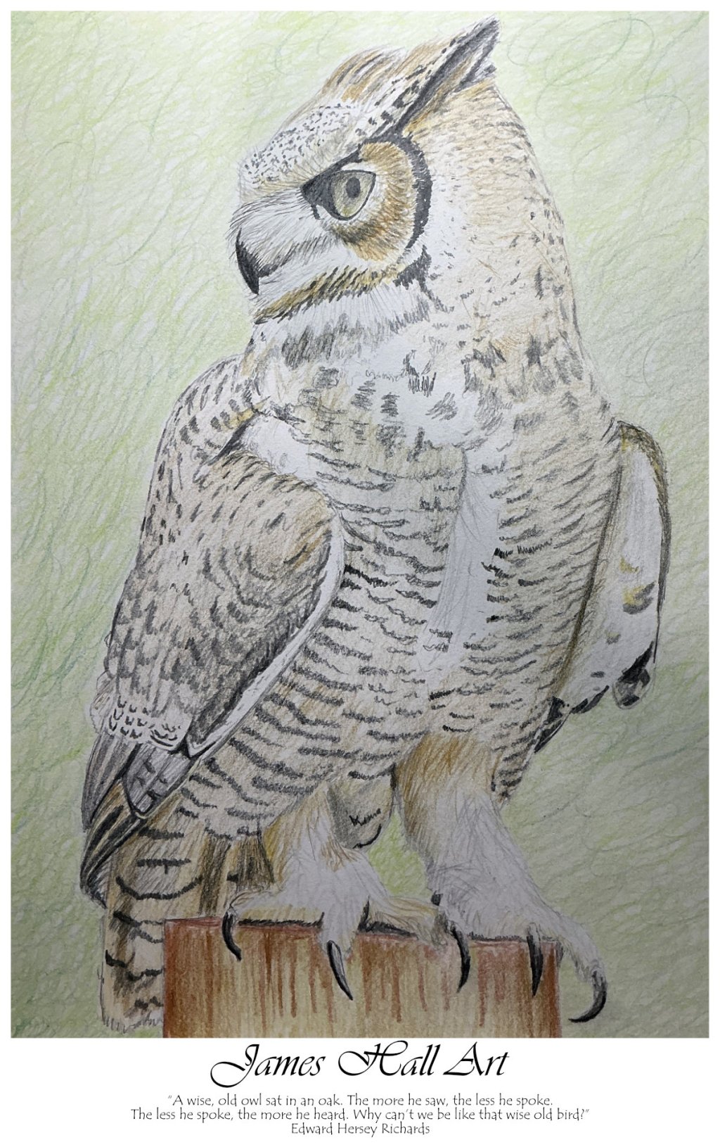 The Wise Old&nbsp;Owl