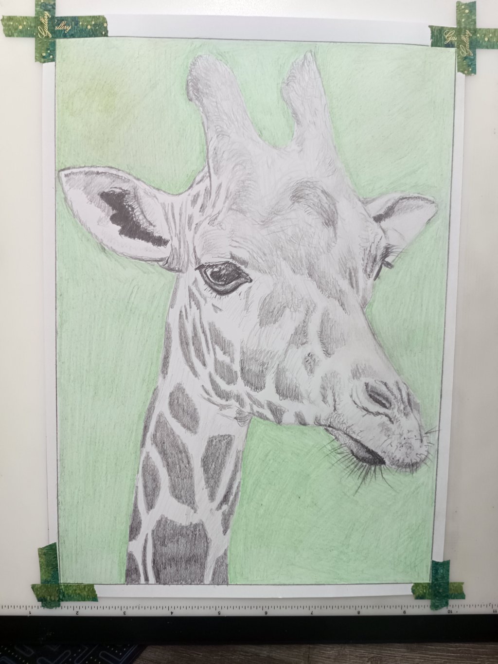 Gary the Giraffe