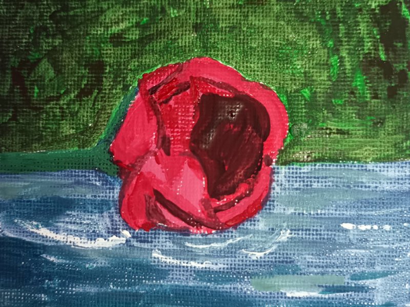 Small Gouache 10×10 cm Rose on&nbsp;water