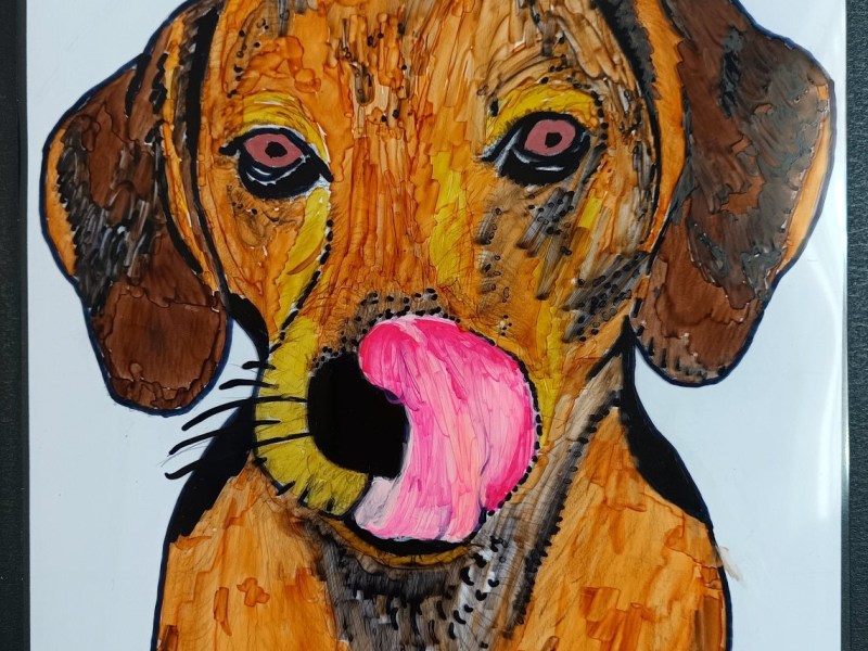 Acetate Dog colouring