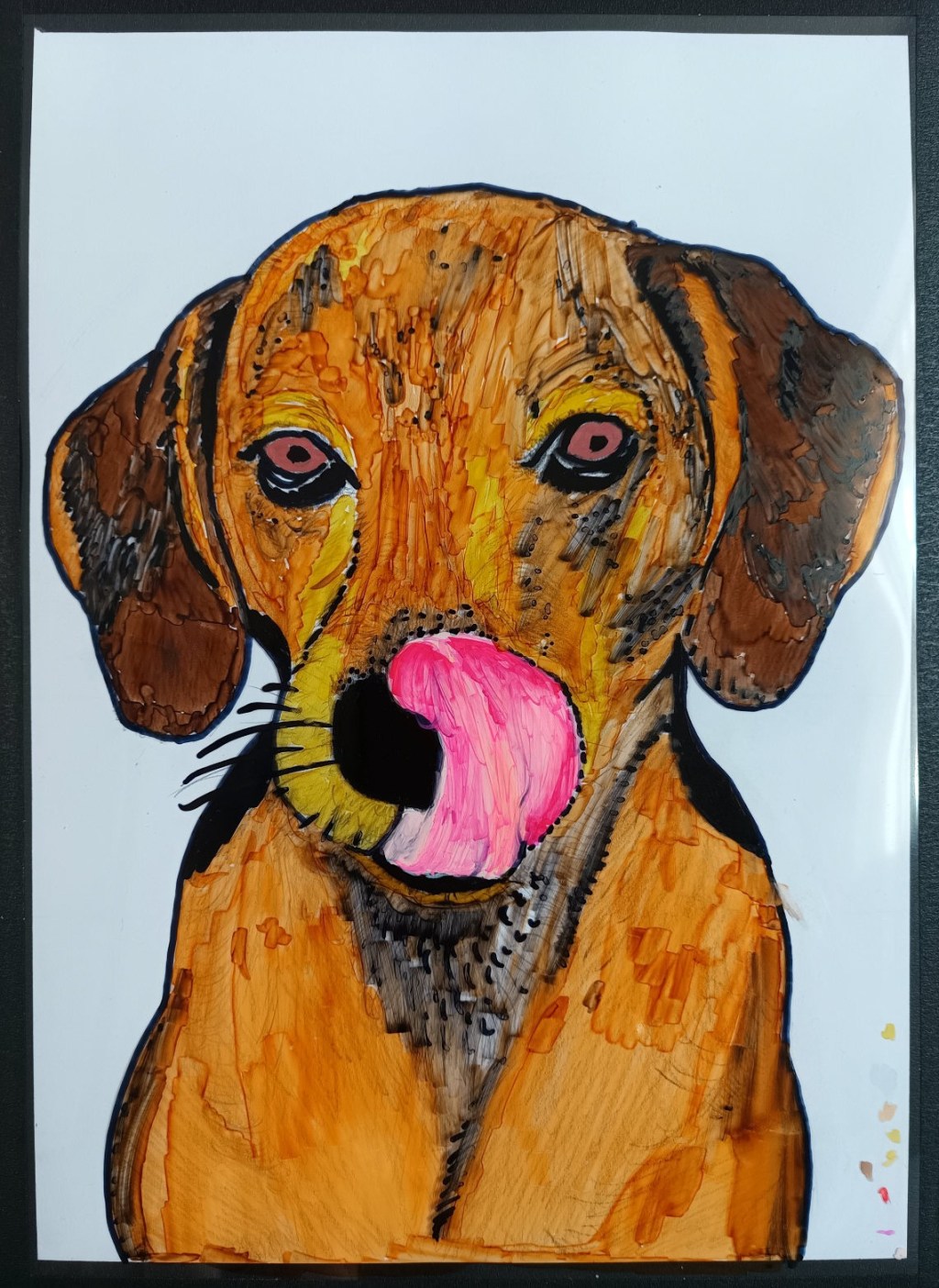 Acetate Dog colouring