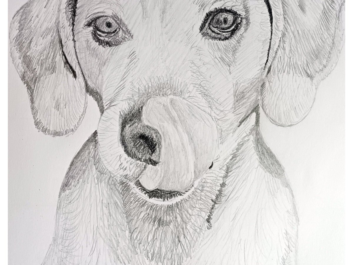 A dog who sadly passed&nbsp;away