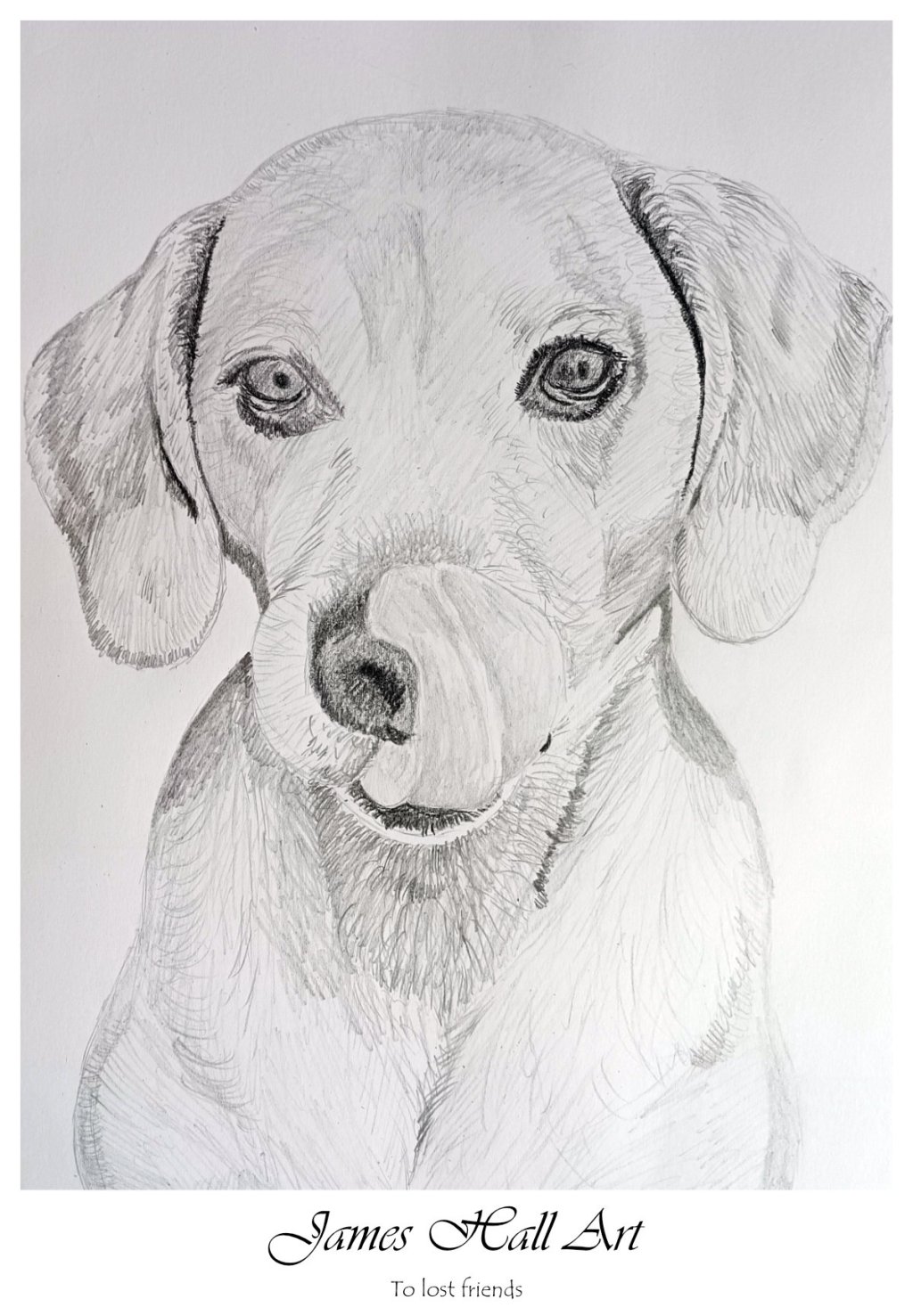 A dog who sadly passed&nbsp;away